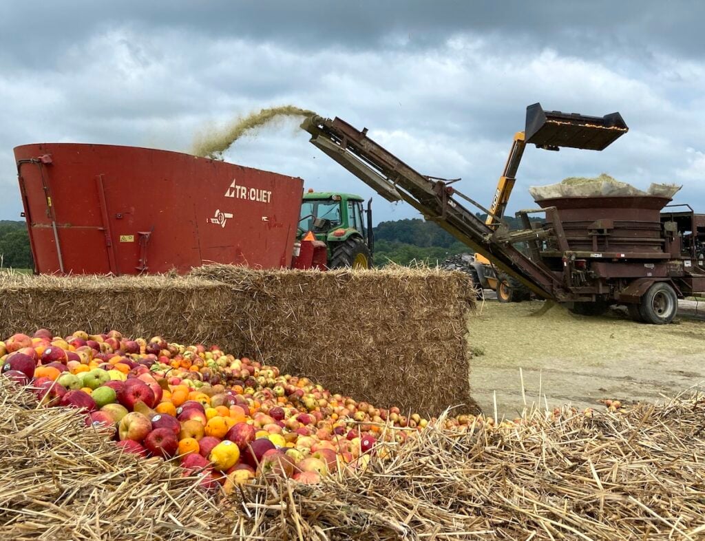 maca reciclagem